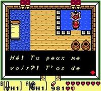 une photo d'Ã©cran de The Legend of Zelda - Link s Awakening DX sur Nintendo Game Boy Color